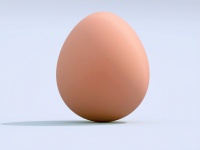 Huevo.jpg