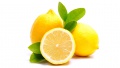 Limon matosl.jpg