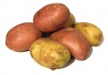 Patatas amflora ArizaI.jpg
